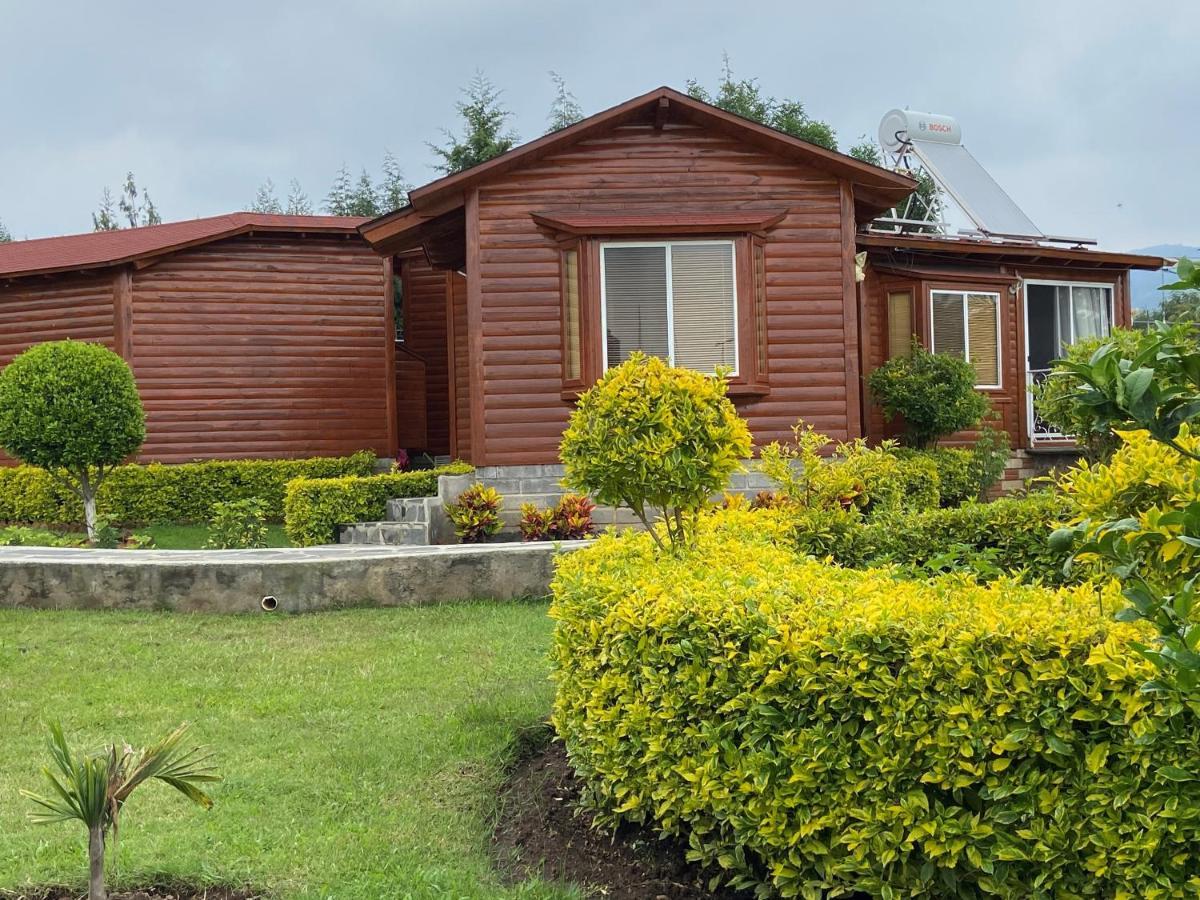 Villarreal Lodge Hotel Ecologico Totolapan Εξωτερικό φωτογραφία