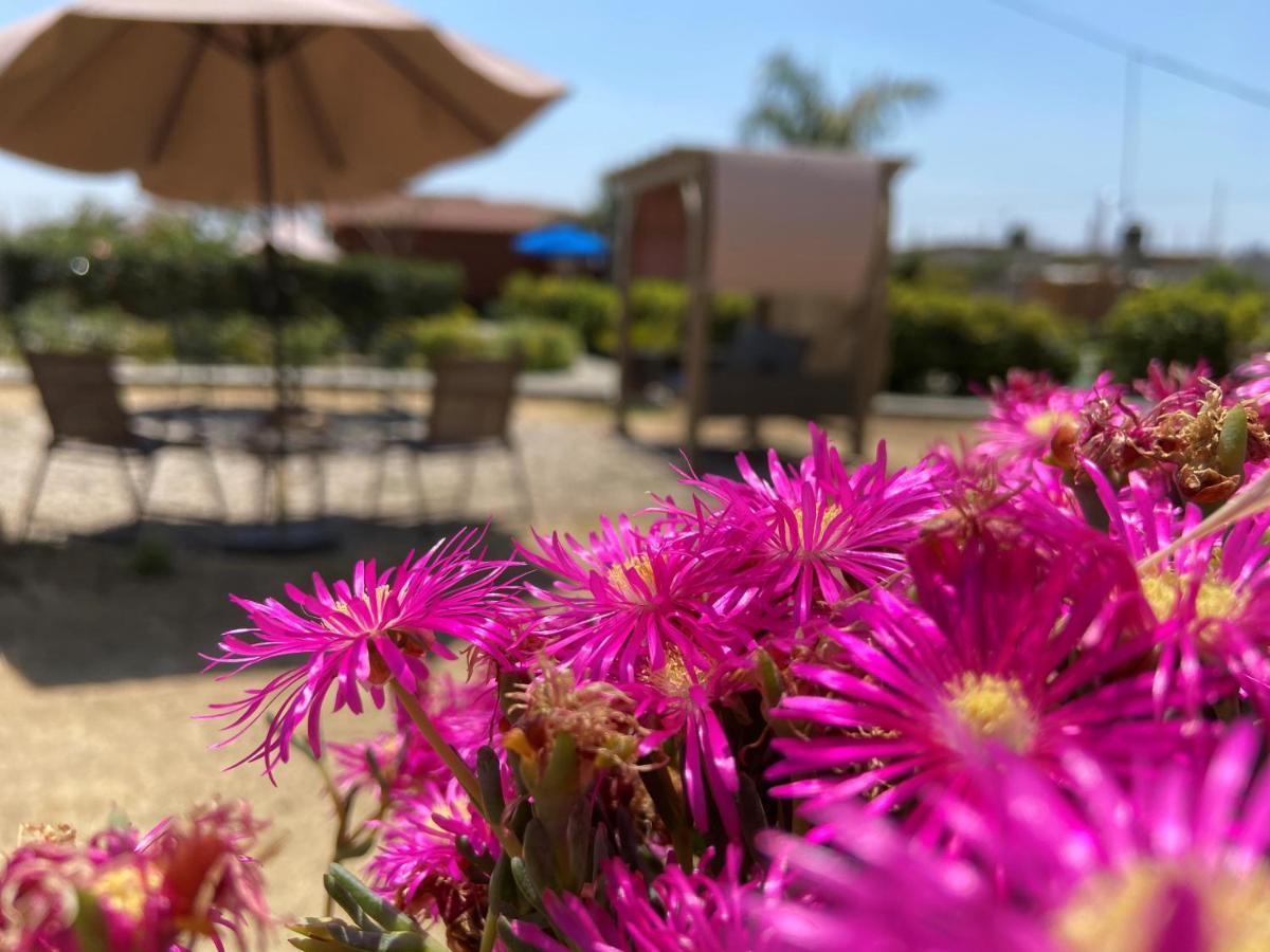 Villarreal Lodge Hotel Ecologico Totolapan Εξωτερικό φωτογραφία