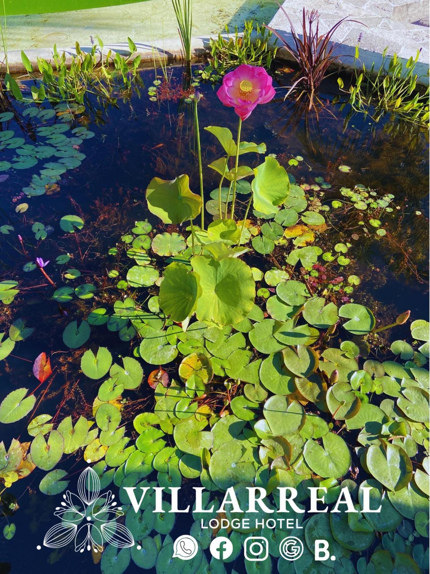 Villarreal Lodge Hotel Ecologico Totolapan Εξωτερικό φωτογραφία