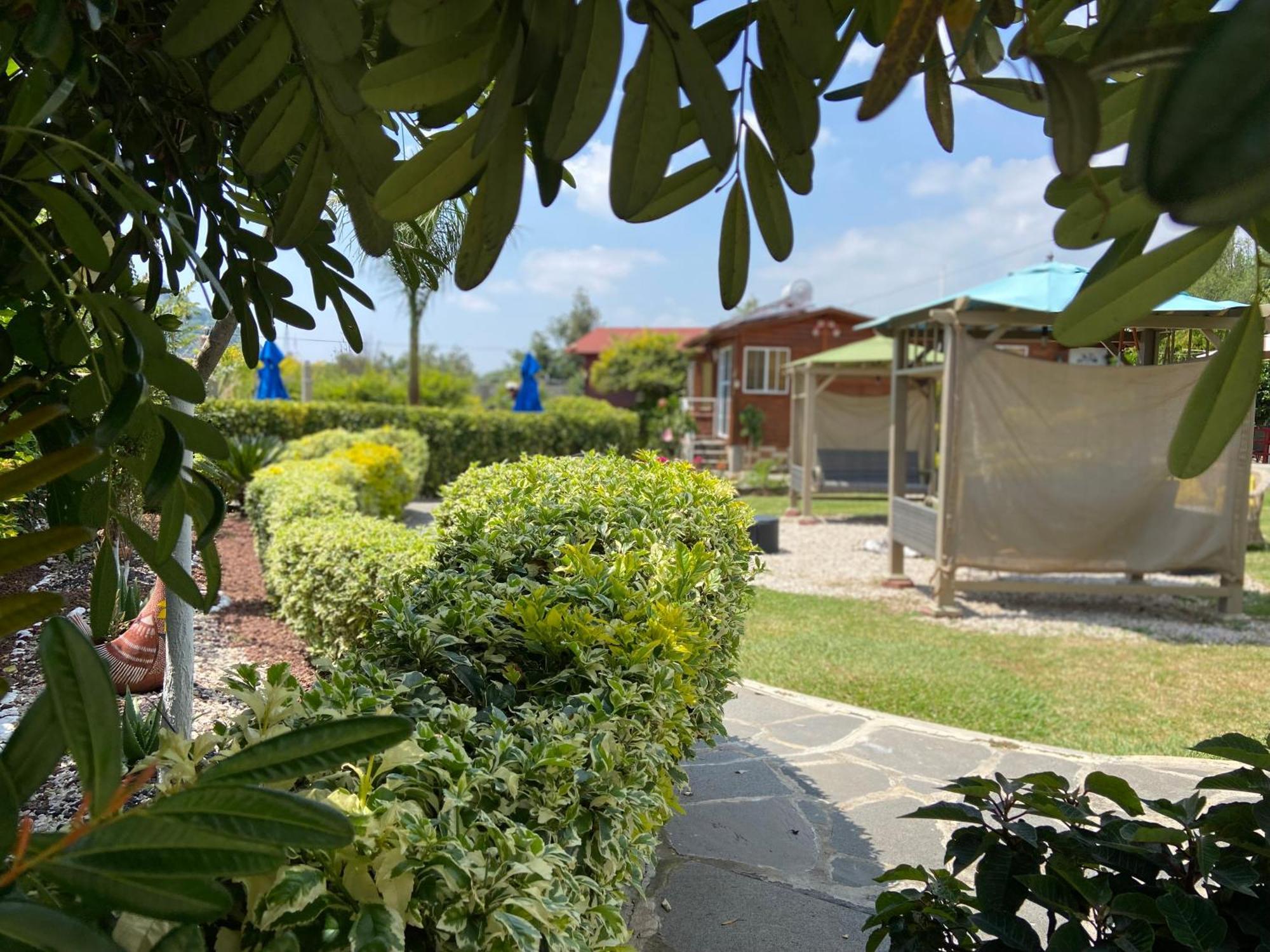 Villarreal Lodge Hotel Ecologico Totolapan Εξωτερικό φωτογραφία